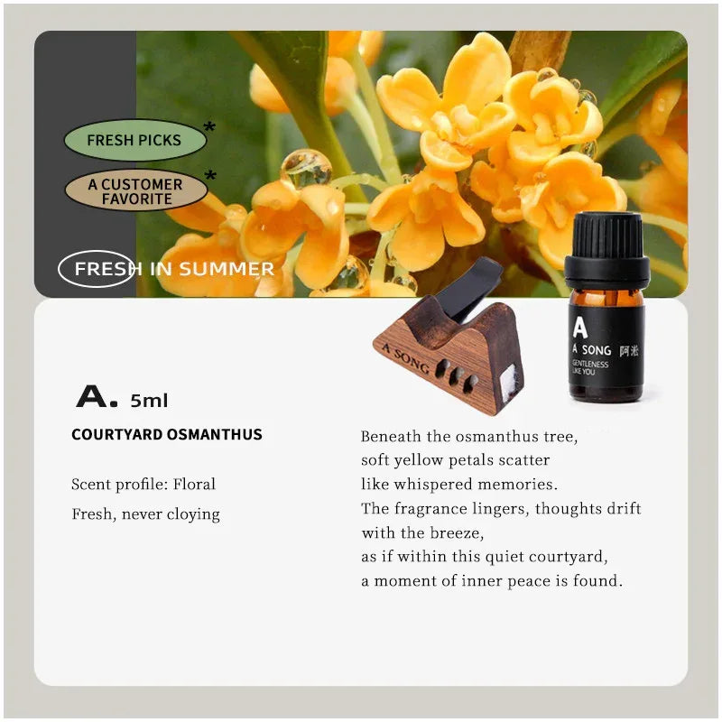 Hills with a song - A SONG