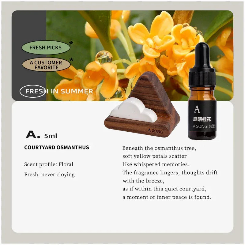 Hill & Cloud - A SONG